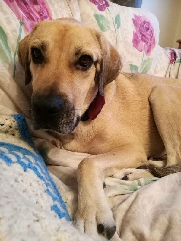 166DC117-EB6D-4251-B168-4CFA6782350D