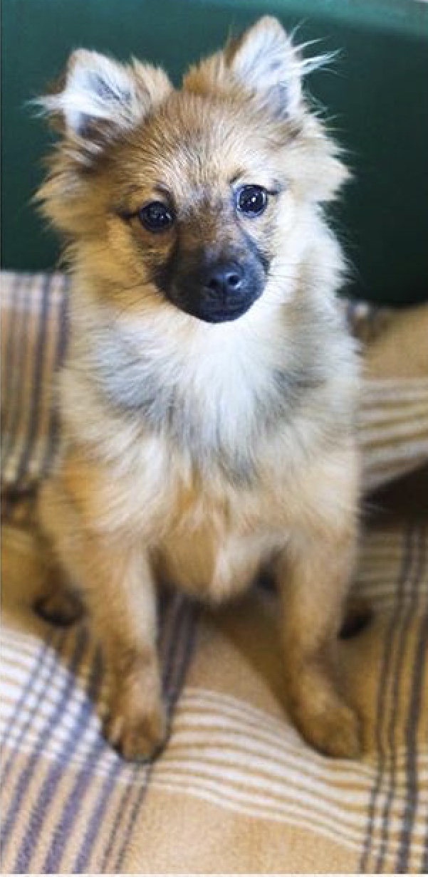 1E9544CF-C742-4CCE-9F04-AF1080DD2310