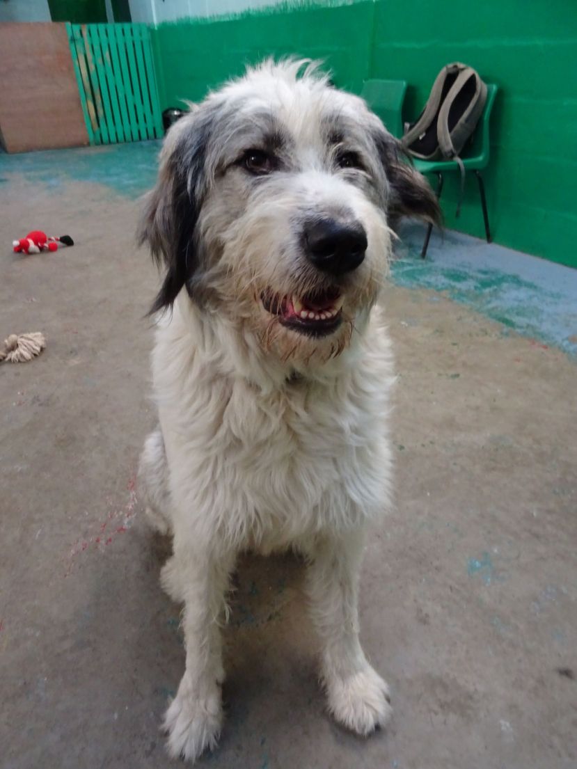 2283EF16-B6B7-40E1-9617-B69CDAC2CFD8