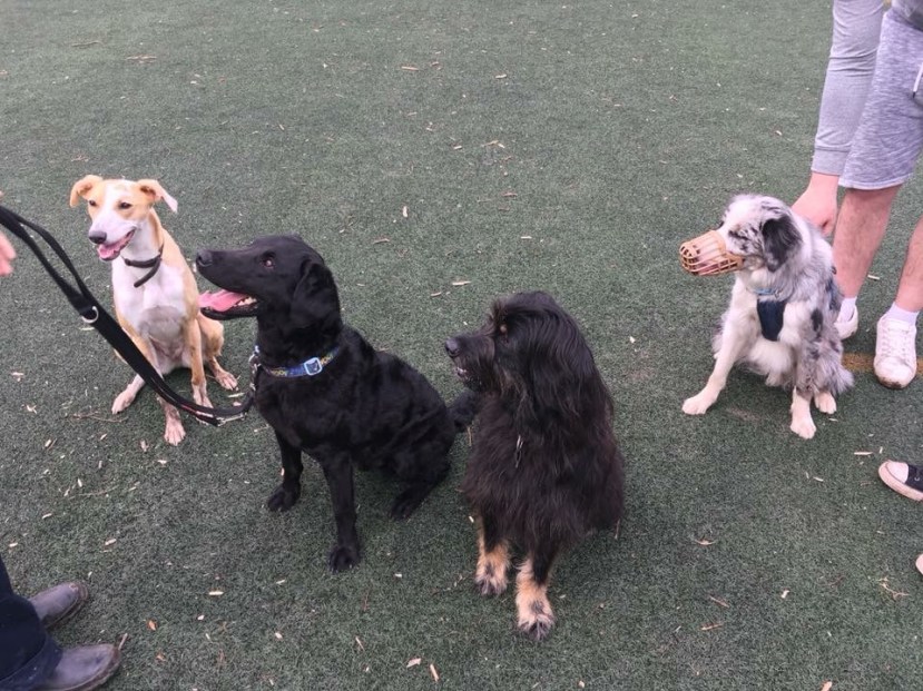 2B8A601A-DE06-458F-B574-12137EBFD7F1