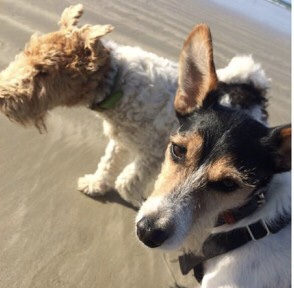 330B4499-0392-47C7-9842-659840126834