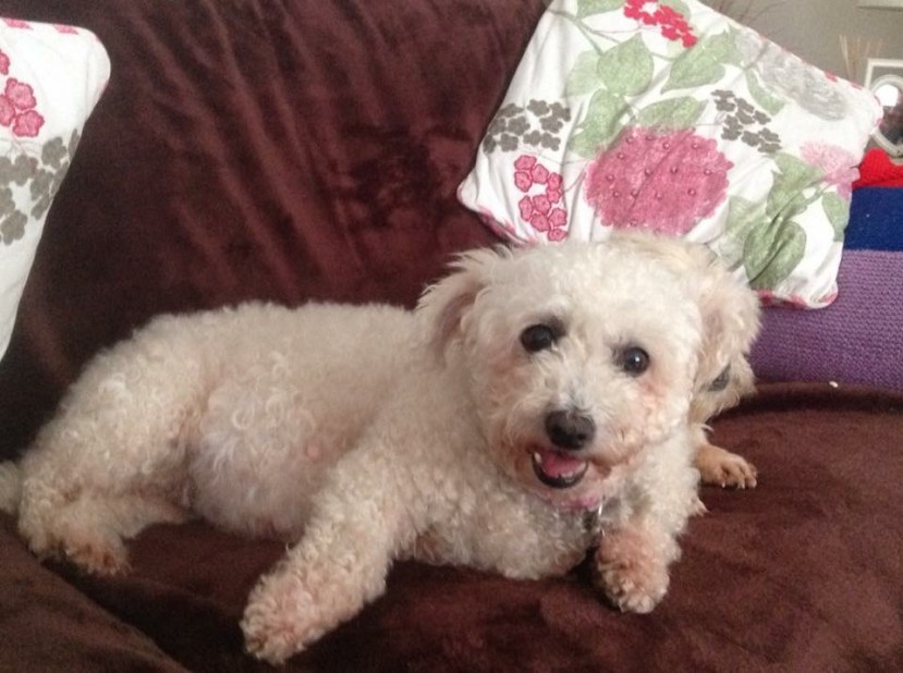 37C06D84-0624-4B15-8367-3B688765D7CD