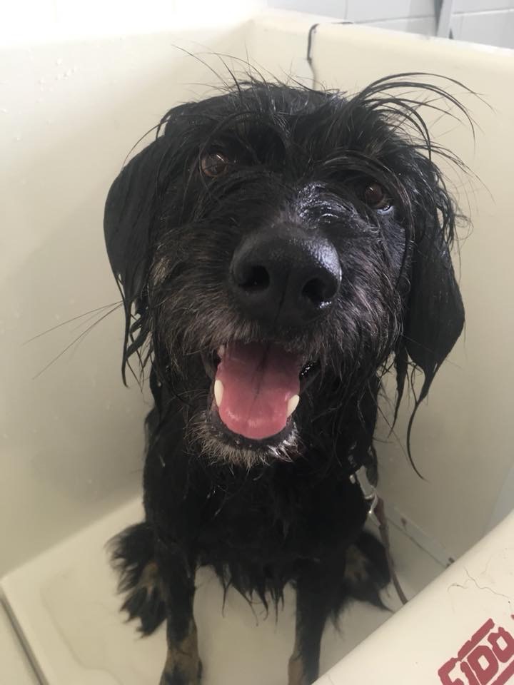 3C56DB72-9C77-47AB-BAC7-C98A4A9C945C