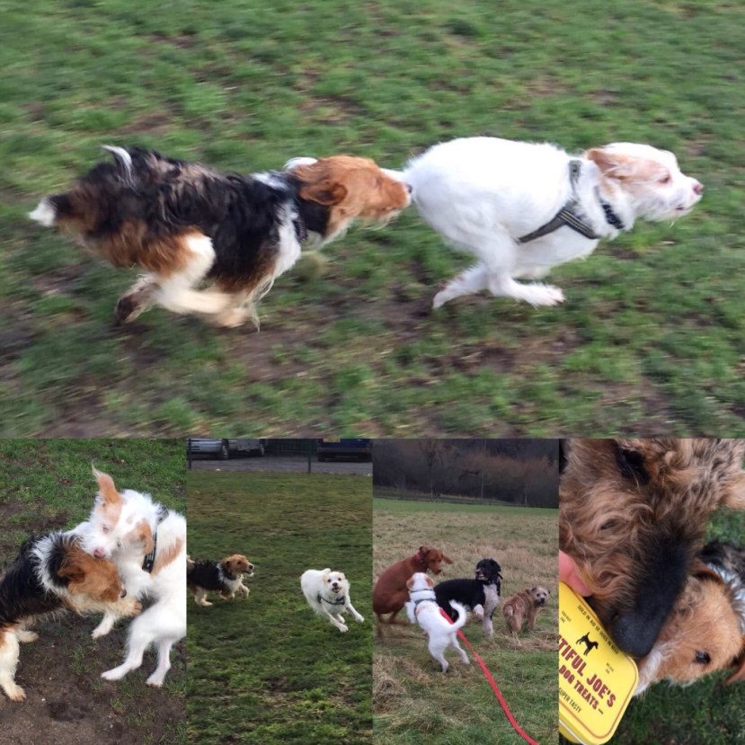 3D006A85-FBD1-41C4-86A2-93A110377A6A