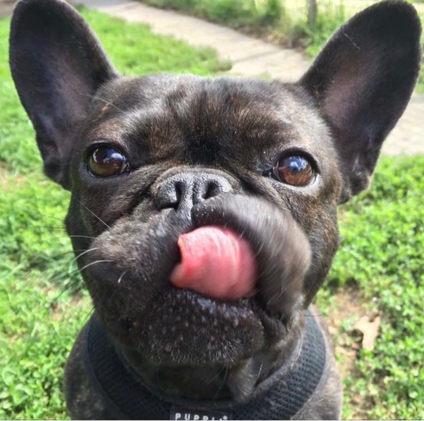 3FA31FF2-F559-4ACF-995B-1C0ED678D83D