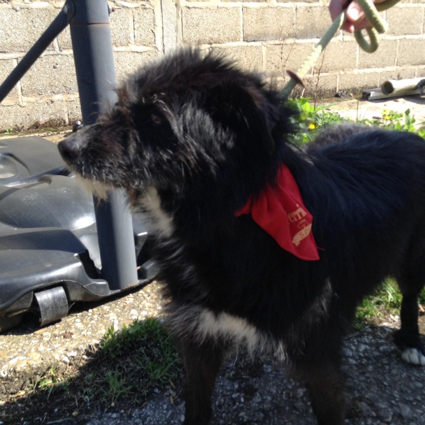 50410207-D729-4EDB-BE33-472C43D61E91