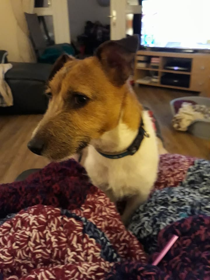 560E6615-2C57-4CBE-92D1-FF7D49128F73