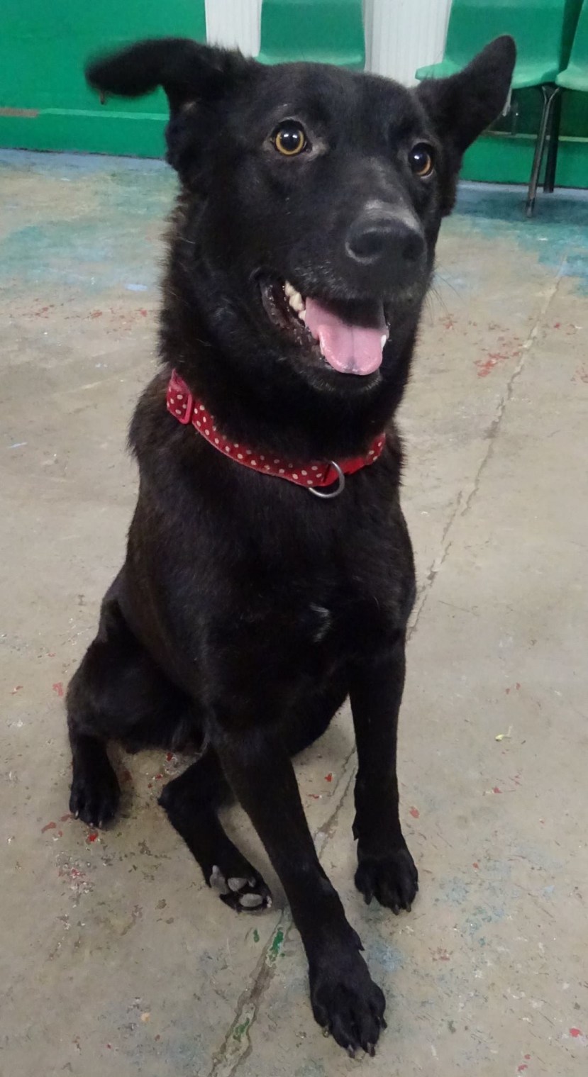 61D8F7E9-0EB2-43E6-8052-C9C4C53580B6