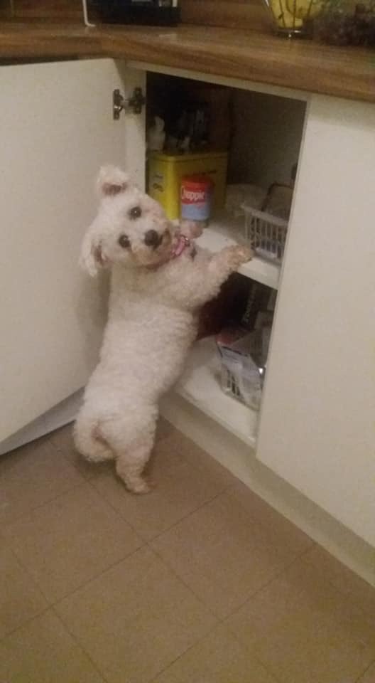 6B7AB070-0DFD-441C-8E44-4E8113FA073E