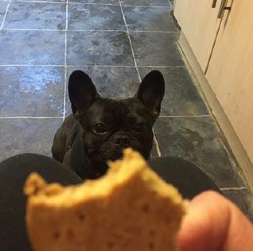 6C062048-2427-423D-AF65-CB1742308B38