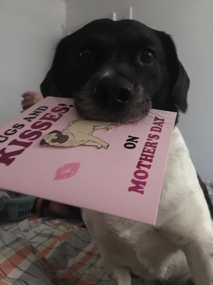 6C330777-A6C2-4184-93AB-785ED9ED37D1