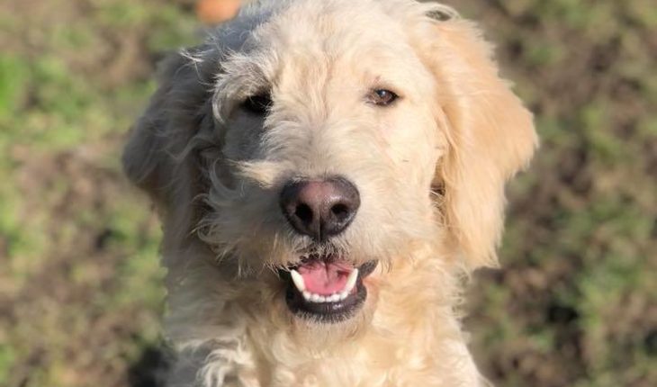 6EDAF8EA-A649-4231-B6F4-AD7C3AFA152A