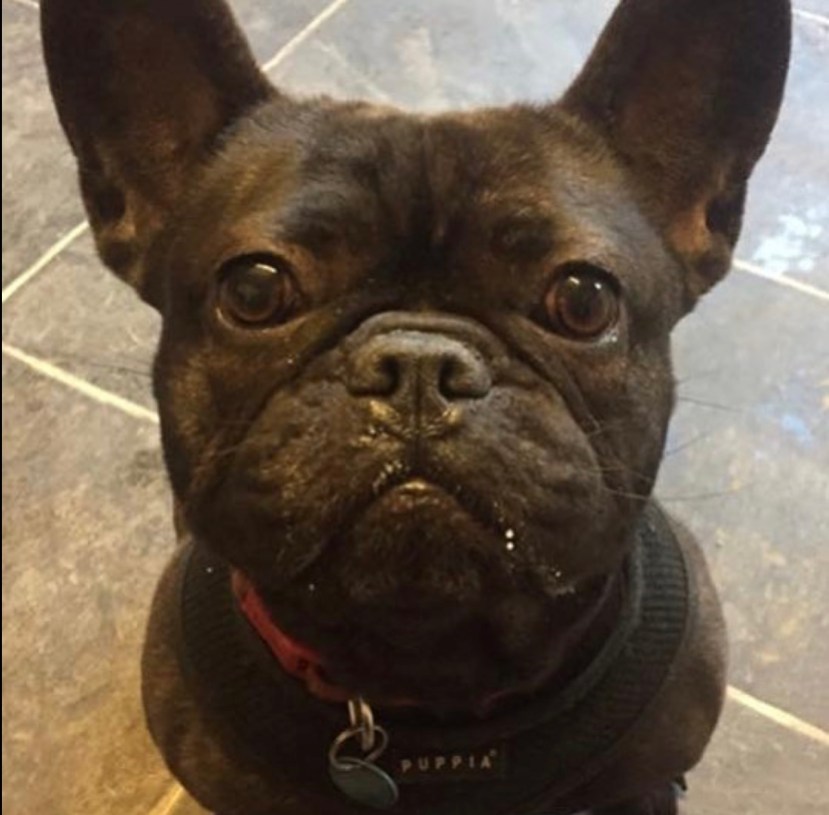 782A5E28-7617-4DEF-828D-8CD2933D77CC