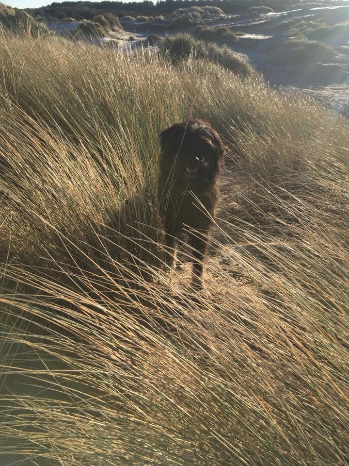 7EB5D79E-AEF6-451A-ADC4-8A7D93D156C0