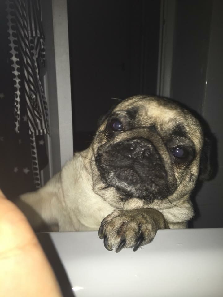 8908A352-DE30-4159-B105-39438A7DC8D3