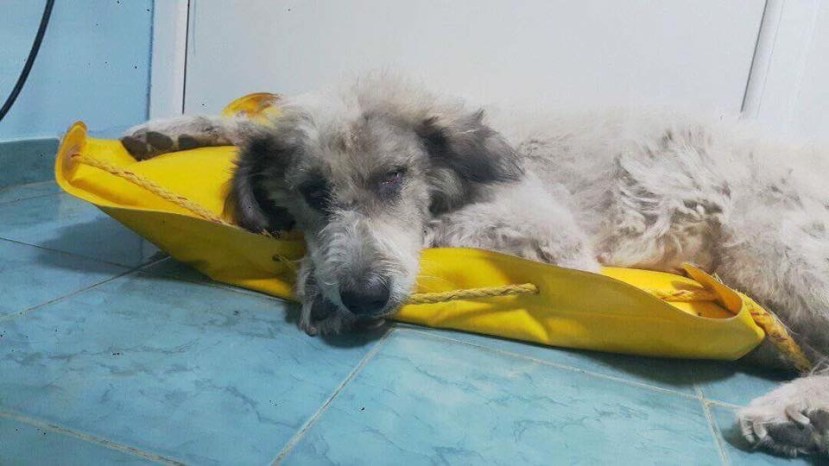 9550E3FA-DDDA-4F16-B933-2259EDFD9EFC