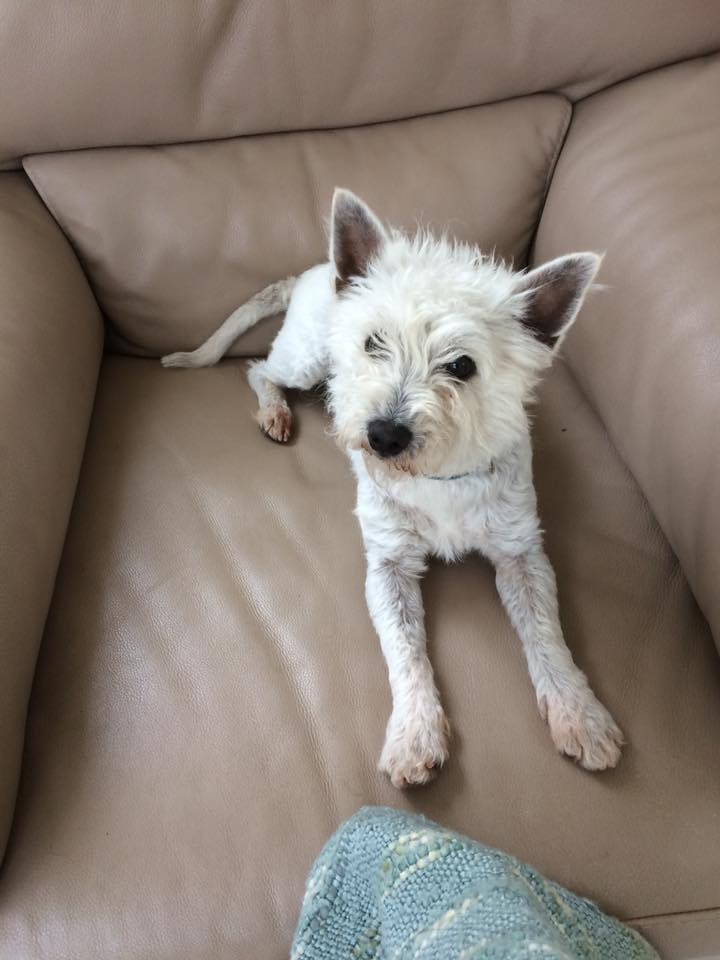 979B97F1-59C7-458E-9E2E-469F3EBA3FA2