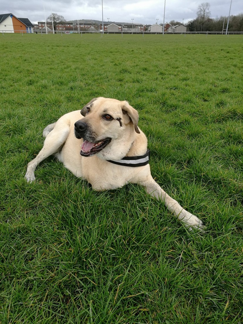 98824F3B-55AA-4910-8DAB-92999AFBF558