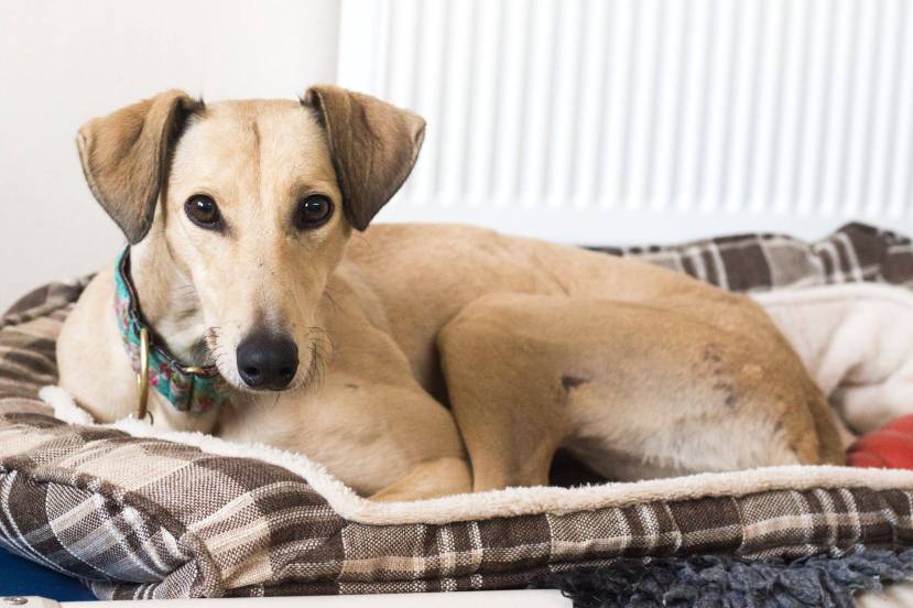 99DB9F1A-FE1B-456B-B526-D82550A11899