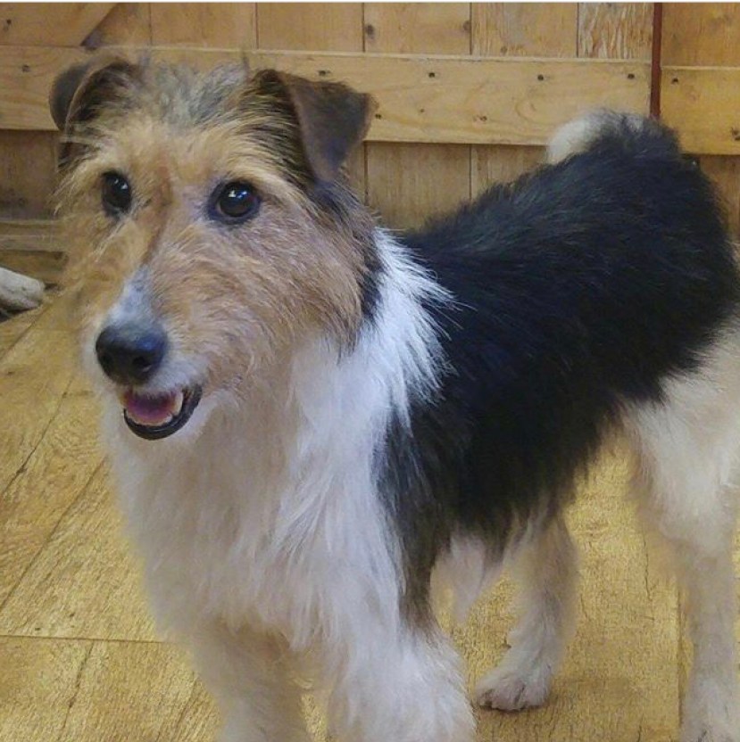 9BA6C66D-E5AA-4178-89B1-169E6F08DDAC