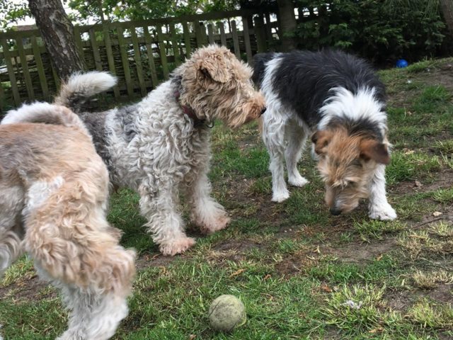 A58963F7-C0A0-45E6-8844-878957356139