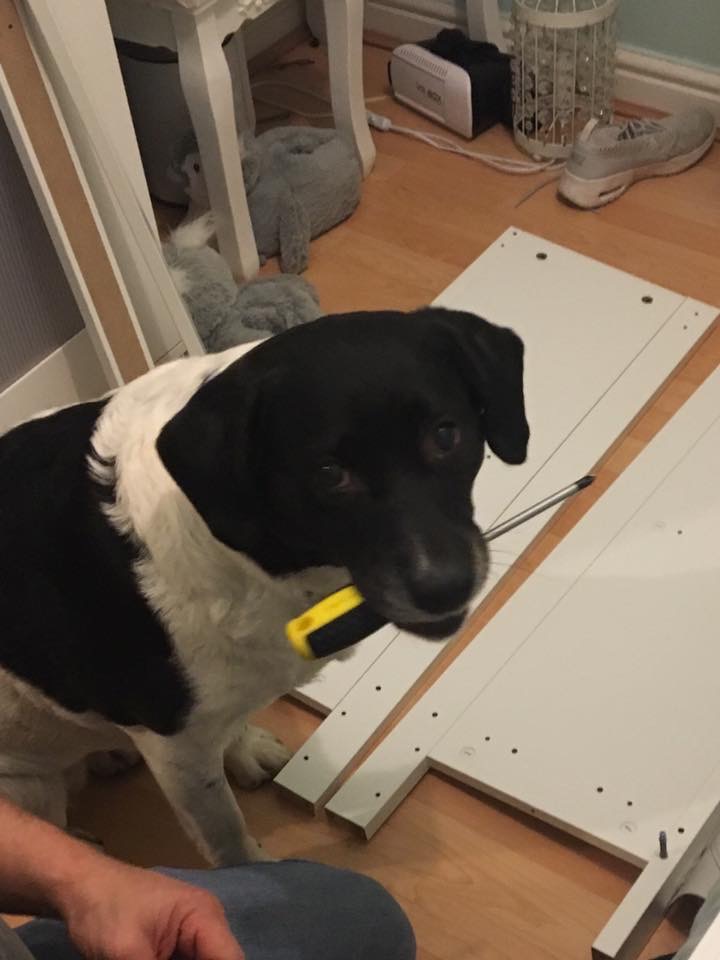 AC40D03D-83FD-449B-B7E7-74E58E1A5319