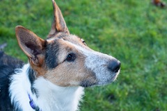 B425A12B-3691-4D61-9BBF-230DF6D31E45