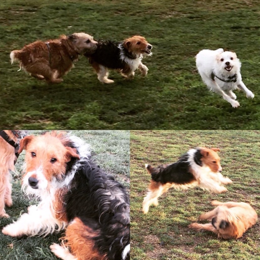 B9947ECC-3661-479F-A559-47E3F55C11D0