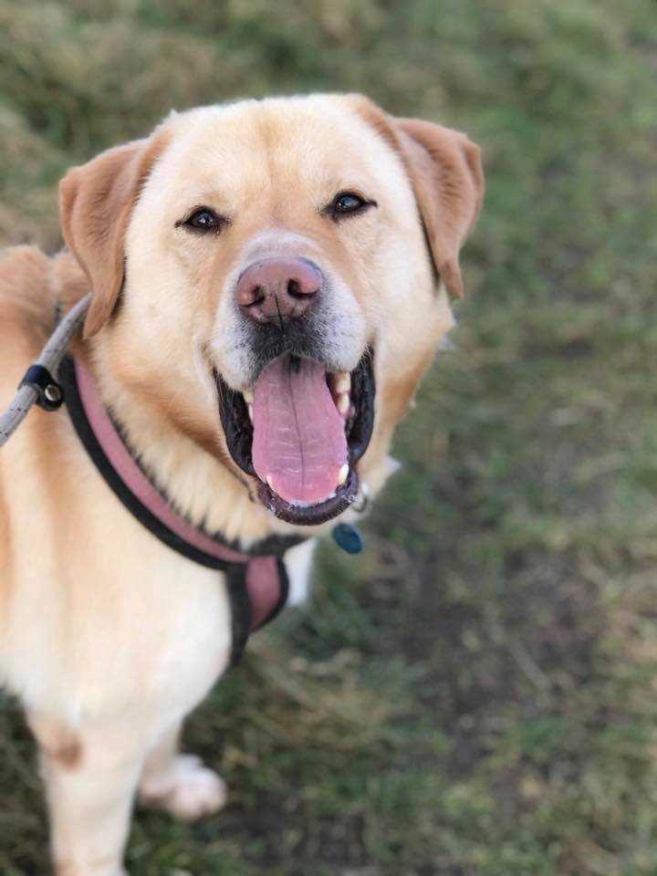 BEE2A4DC-AE05-44DE-BAA8-377EC28637C6