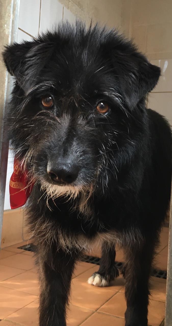 C1EB0CC5-3EBA-4161-B20E-C72341FEF943