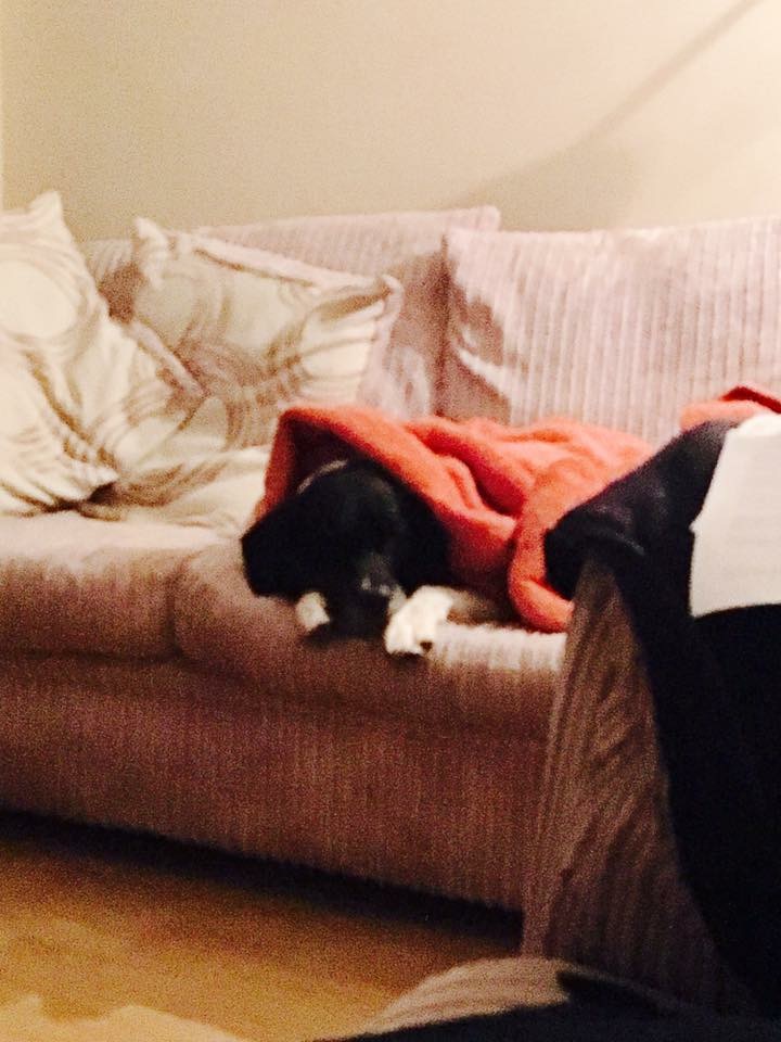 C4F369D1-34FF-435B-9068-EB1B6D205285