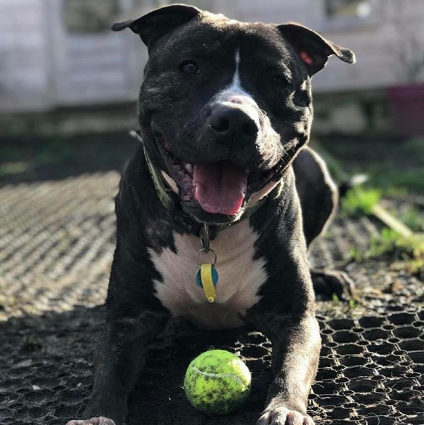 D1D24789-8BF0-4882-BCC6-55B7CD0539EF