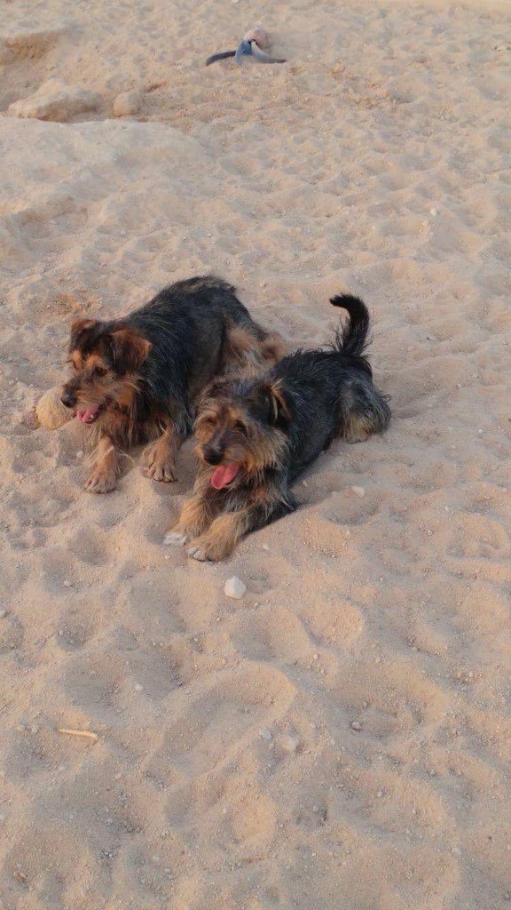 D46A057D-7722-46F3-AE13-727464C07135