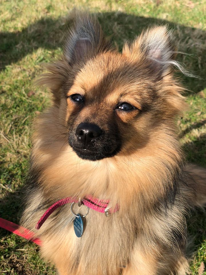 D4E574D0-12EF-4FCB-A358-74F00BF3141D