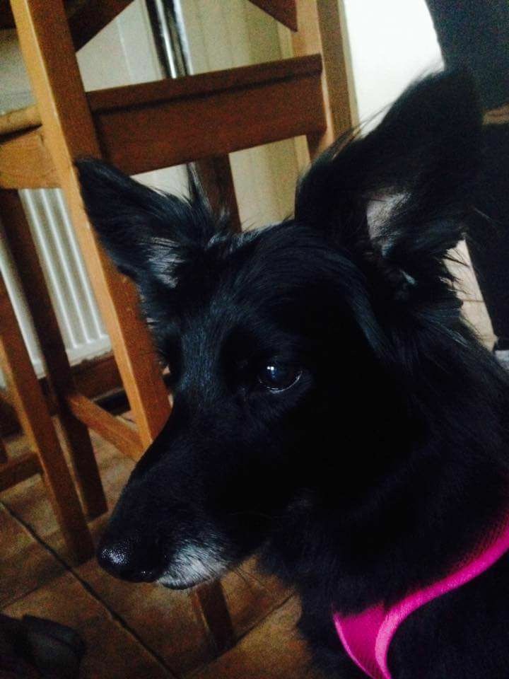 D77B4A9D-2AB1-40DF-8EE2-464C5A3970F3