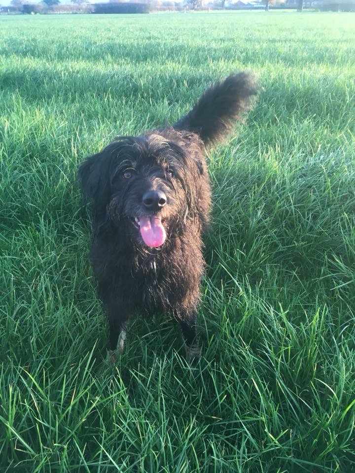 DC4E9088-1CEB-41D9-98D3-A74154A82751