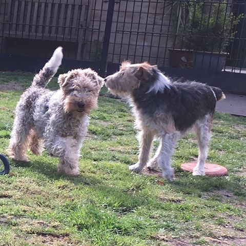 E2D35133-4591-4920-B0DD-85977D31EE85