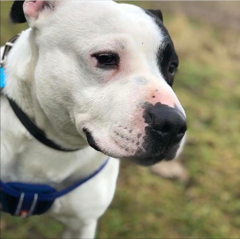 E4DCC4D9-CBDB-4F43-BDFE-F817B0914D55