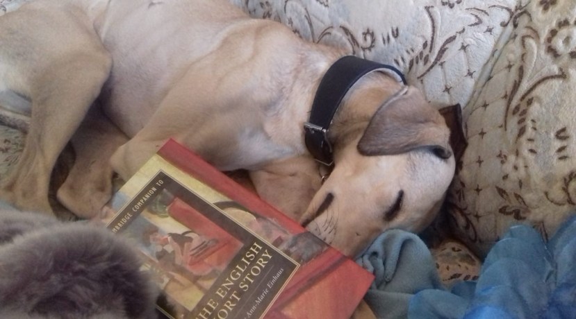 EB4038F4-5AC4-481D-999B-C8FBD90BCEA7