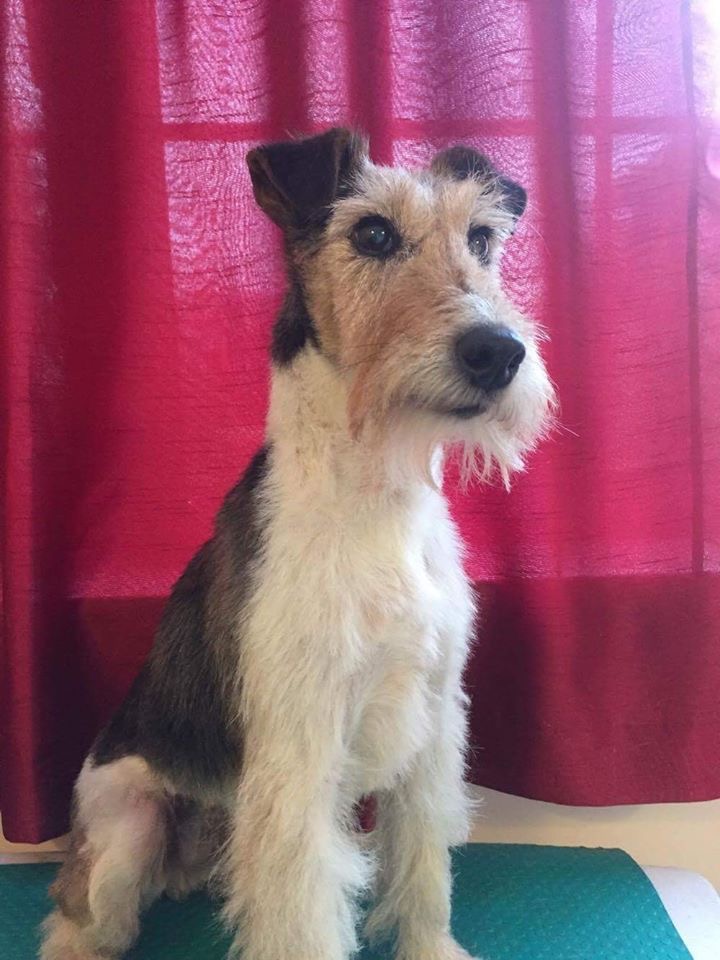 EC6AE446-3FB4-4091-9E57-393242175980