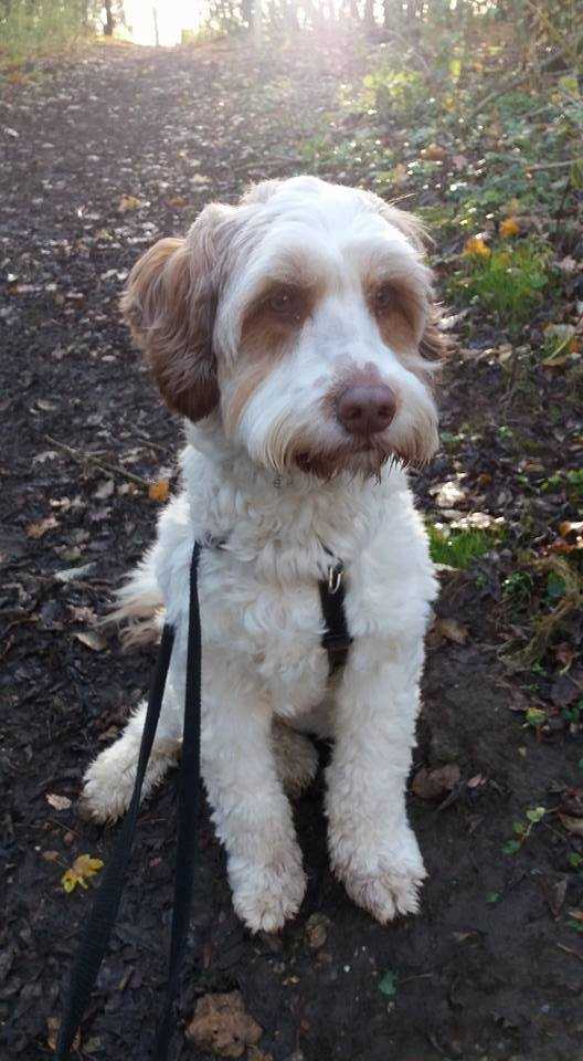 F825F9D9-12DF-4A9E-8555-EE3755E87576