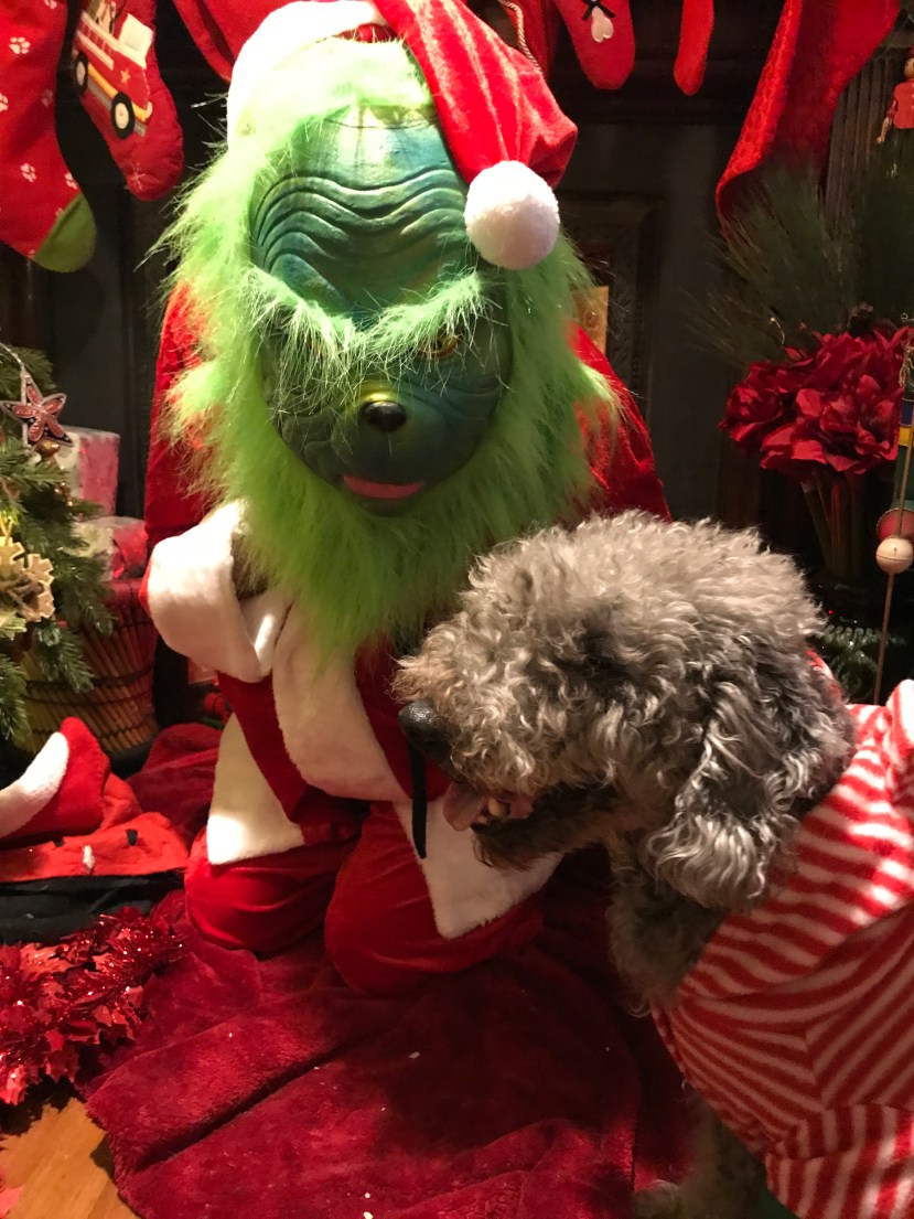 186432F3-3ED1-4835-8F09-CCB879F251D6