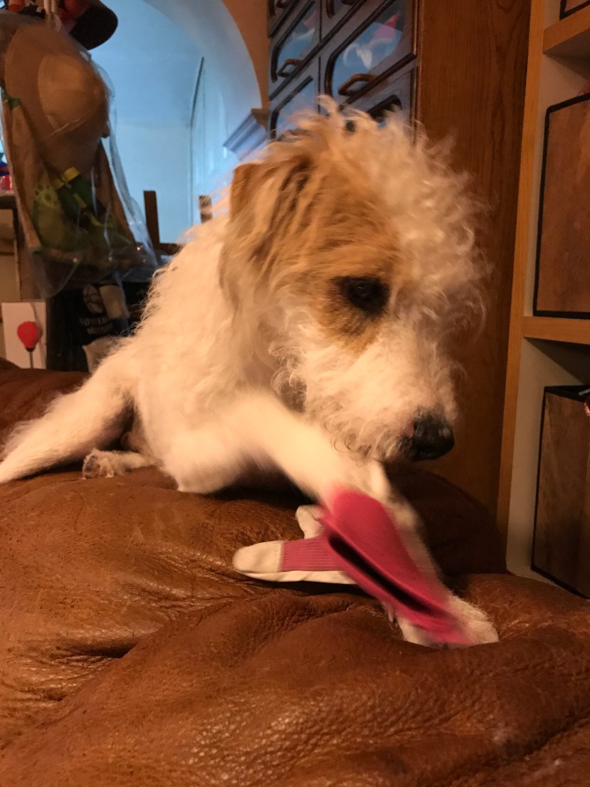 240D0B04-B685-4418-9F84-6FF1832F862F