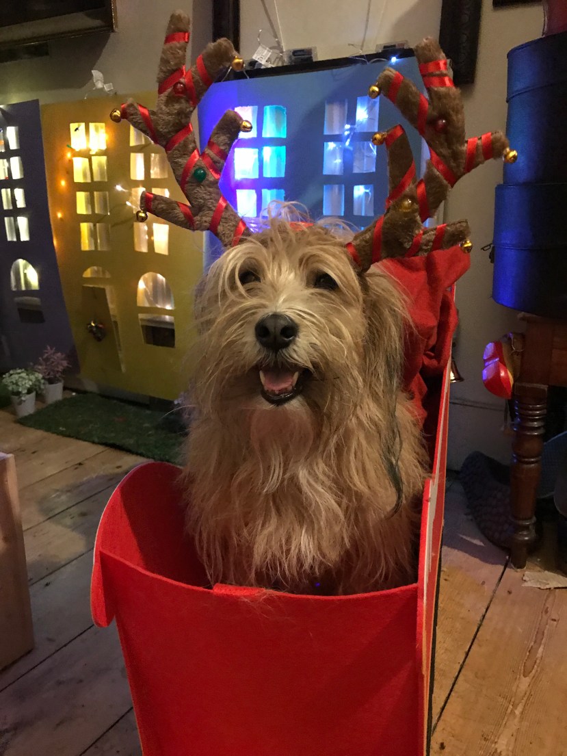 785370E3-8B46-44DA-8612-3EC582A7D625