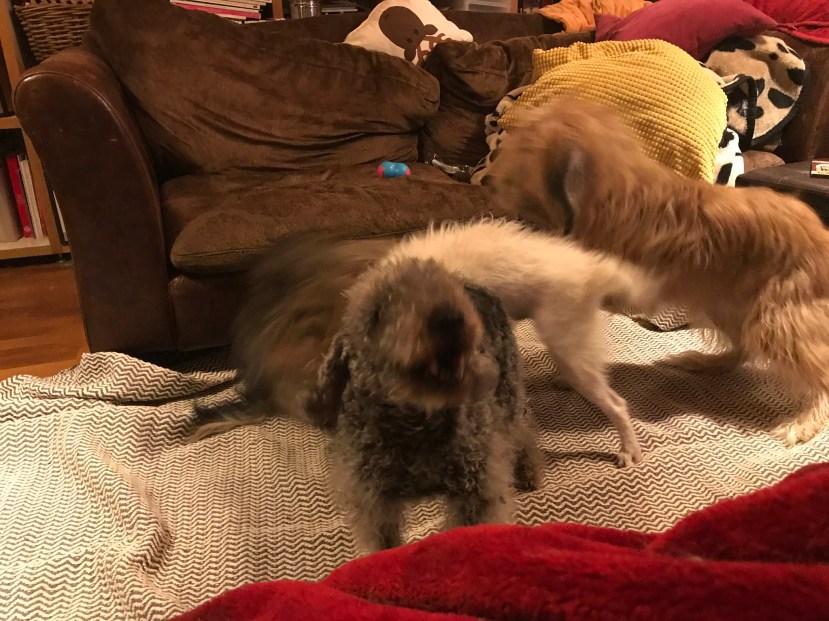 8A803E1E-7209-42A0-B3ED-A887406E310B