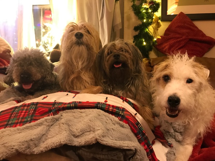 97F6AB09-6B34-48A8-BEE3-62145A1ADE7F