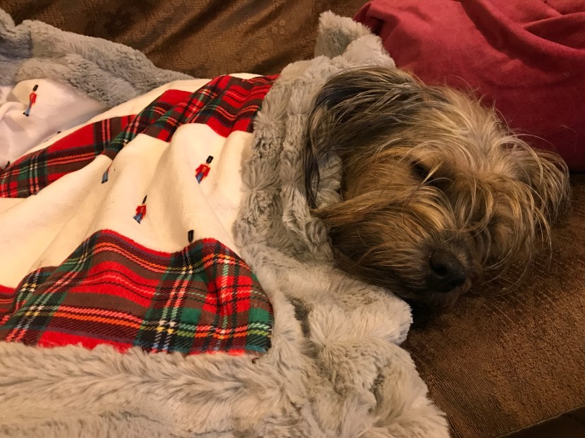 D203F5AD-3854-4925-A9DB-C2B9864543C1