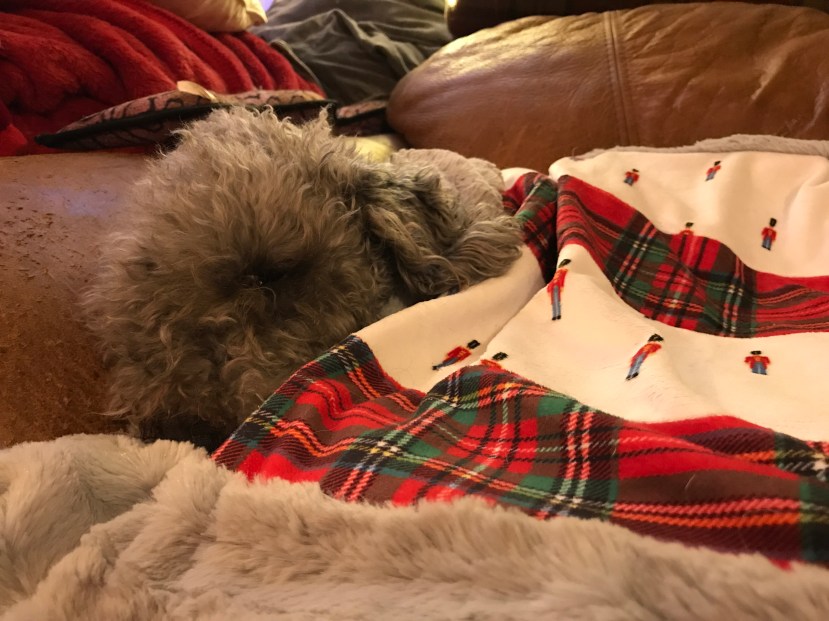 EB847F06-F021-4830-9C18-D7437CE1BF75