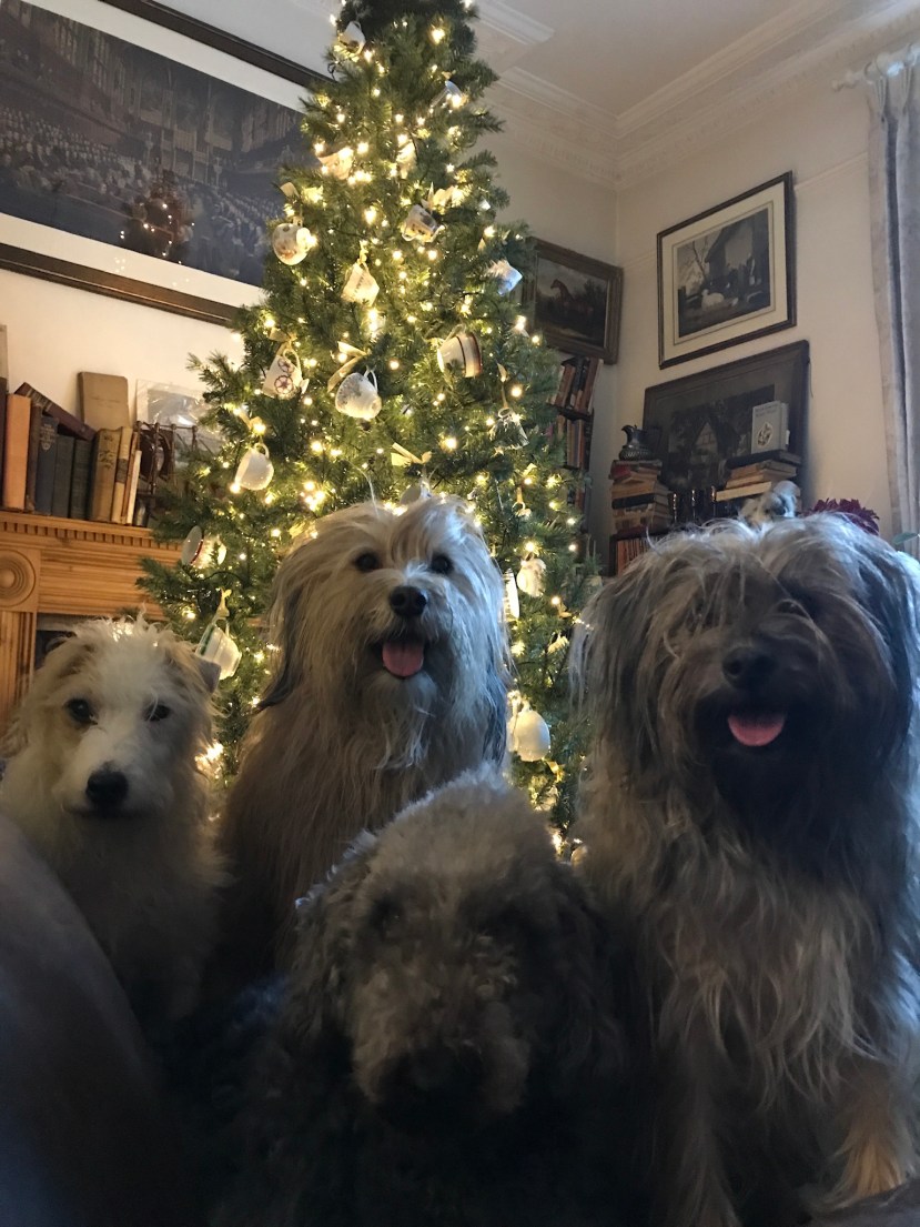 5605A36C-BADB-4A8F-B302-93481D754F44