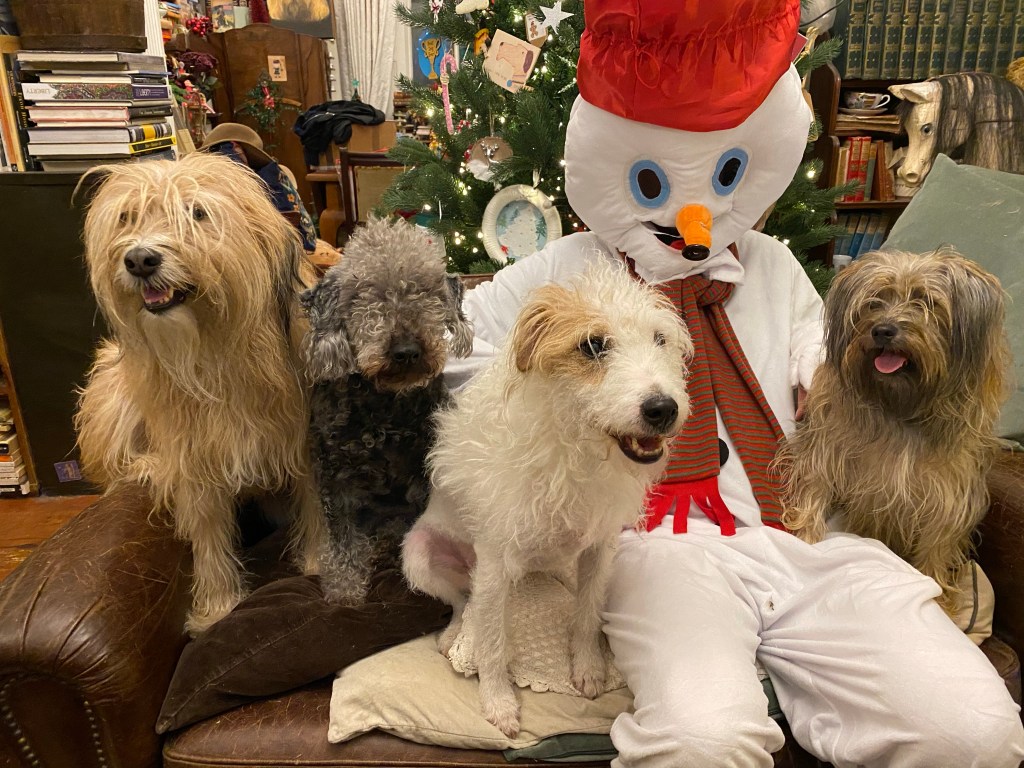 Deputy the Snowman!